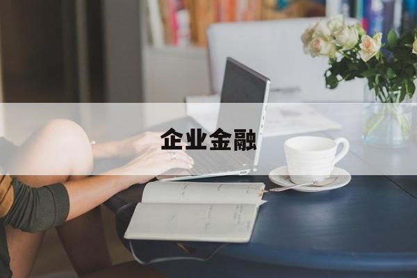 企业金融(企业金融化)